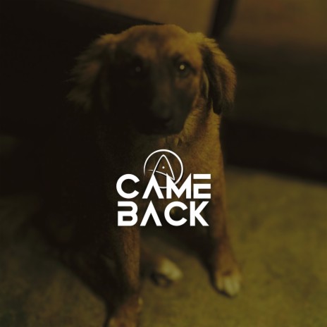 Came Back | Boomplay Music