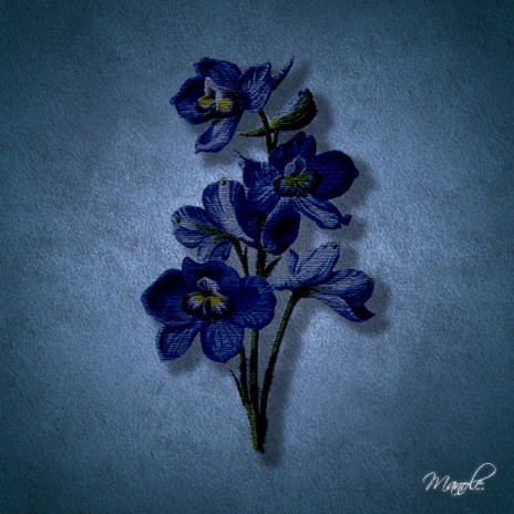 Floare Albastră | Boomplay Music