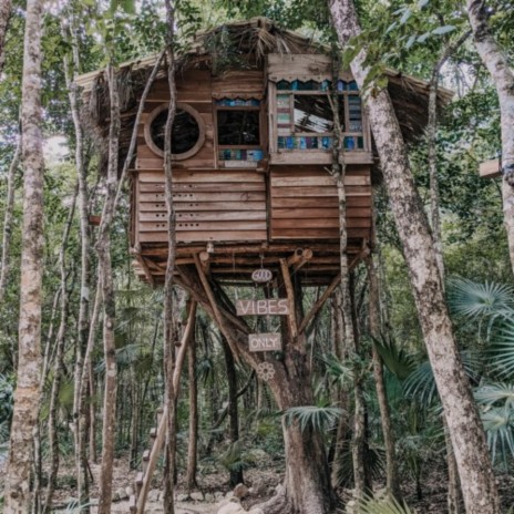 Treehouse | Boomplay Music