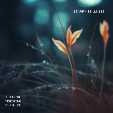 Starry Stillness (Spa) ft. New Age & Meditation Music Masters