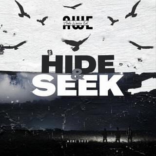 Hide and Seek