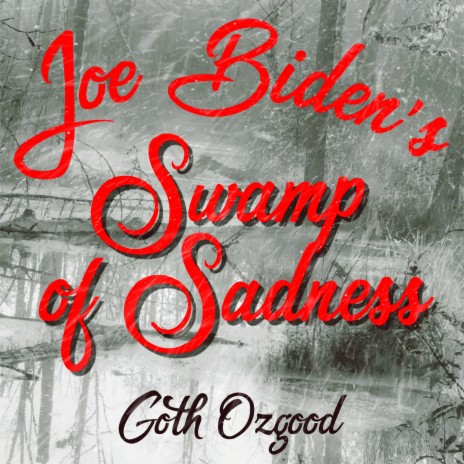 Joe Biden's Swamp of Sadness (Radio Edit) | Boomplay Music