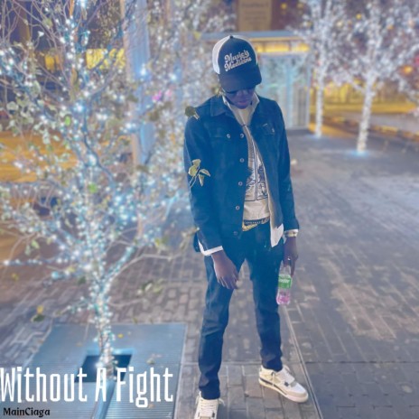 Without A Fight | Boomplay Music