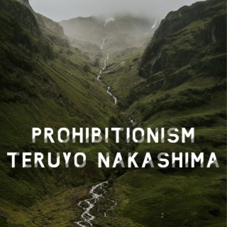 Prohibitionism