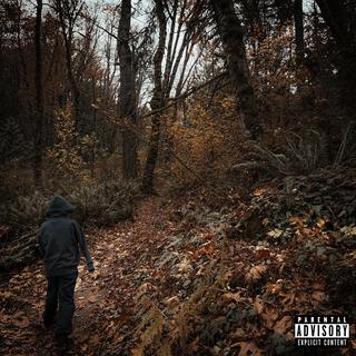 The Woods 2