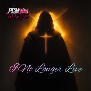 I No Longer Live ft. Rob Ruff lyrics | Boomplay Music