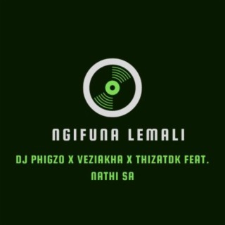 Ngifuna Lemali (feat. Nathi SA)