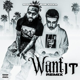 Want It (Remix)