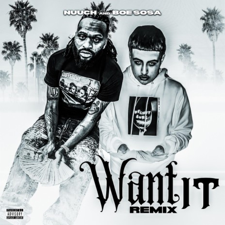 Want It (Remix) ft. BOE Sosa