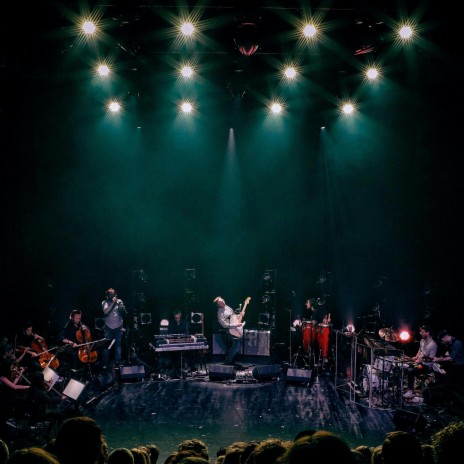 Pale Limbs (Live with Augsburger Philharmoniker) | Boomplay Music