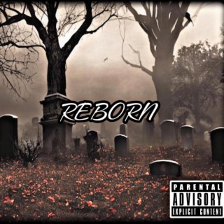 Reborn