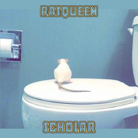 Scholar | Boomplay Music