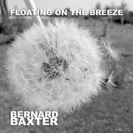 Floating on the Breeze | Boomplay Music