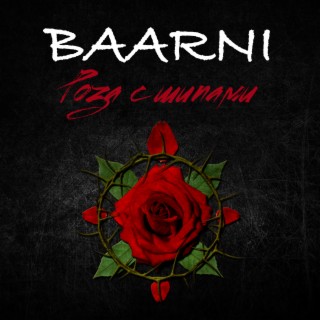 BAARNI