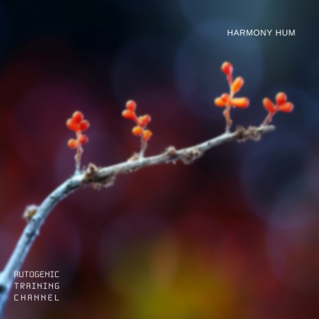 Harmony Hum (Spa) ft. New Age & Meditation Music Masters