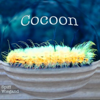 Cocoon