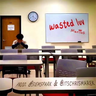 wasted luv lyrics | Boomplay Music