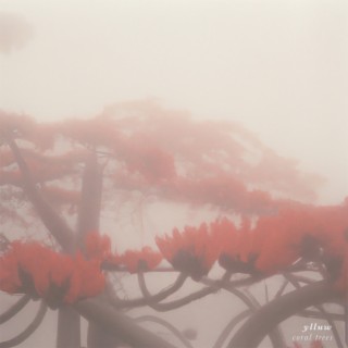 Coral Trees