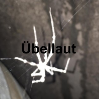 Übellaut/Übel laut