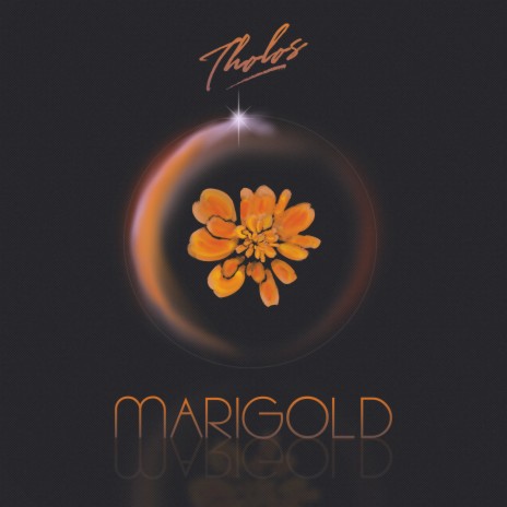 Marigold | Boomplay Music