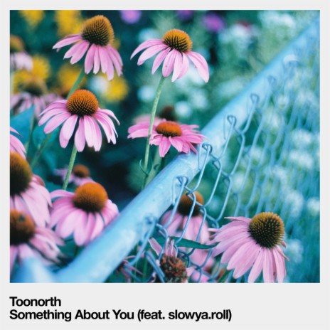Something About You ft. Slowya.roll | Boomplay Music