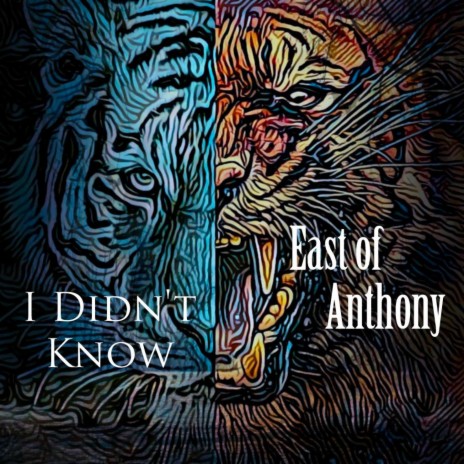 I Didn't Know (Single Version) | Boomplay Music