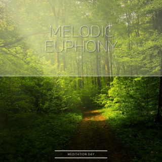 Melodic Euphony