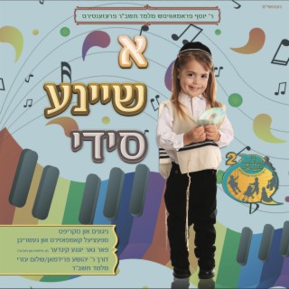 א שיינע סידי - A Nice CD