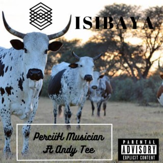 Isibaya ft. Andy Tee lyrics | Boomplay Music