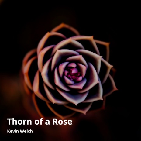 Thorn of a Rose | Boomplay Music