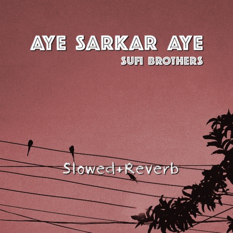 Aye Sarkar Aye | Boomplay Music