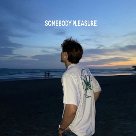 Somebody Pleasure | Boomplay Music
