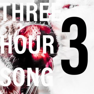 Three Hour Song, Vol. 3
