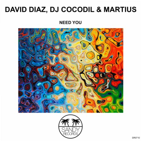 Need You (Original Mix) ft. Dj Cocodil & Martius | Boomplay Music