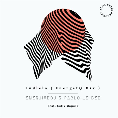 Indlela(EnergetQ Mix) ft. Colly Maposa & Pablo le Bee | Boomplay Music