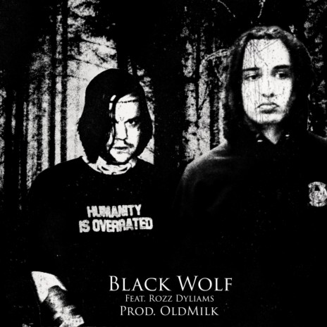 Black Wolf (feat. Rozz Dyliams)