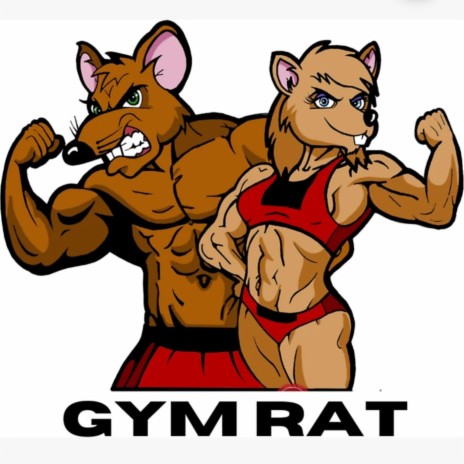 GYM RAT | Boomplay Music