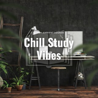Chill Study Vibes: Ambient Concentration Tunes