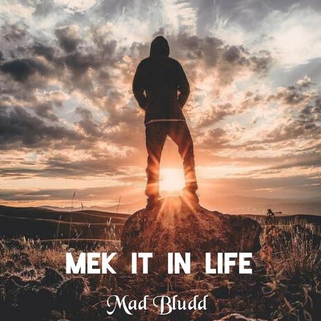 Mek It In Life | Boomplay Music