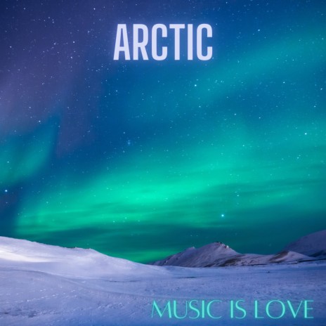 Arctic | Boomplay Music