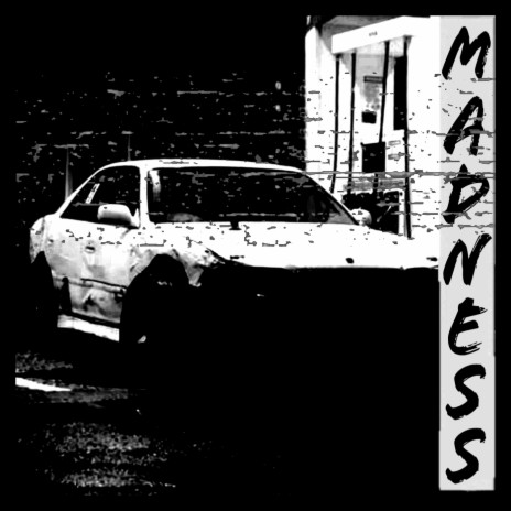 Madness ft. Mr.monkey | Boomplay Music