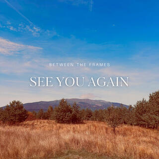 See You Again lyrics | Boomplay Music