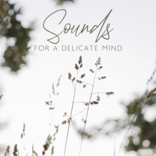 Sounds For A Delicate Mind