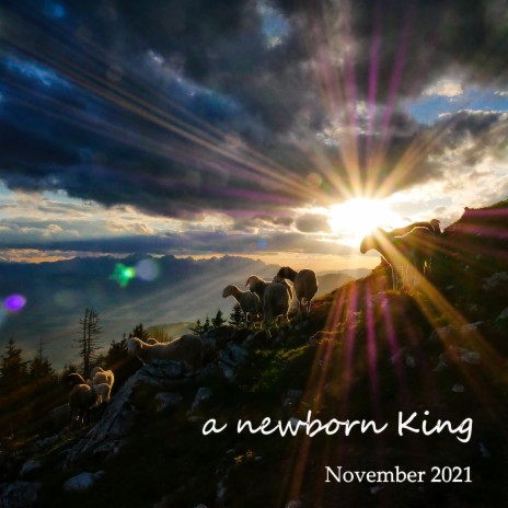 A Newborn King | Boomplay Music