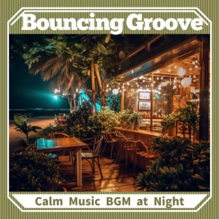 Calm Music BGM at Night