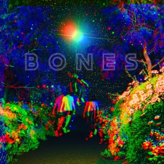 BONES