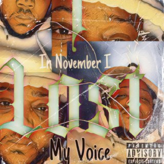 In November I Lost My Voice