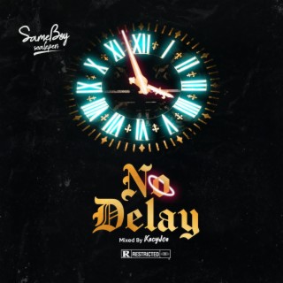 No Delay lyrics | Boomplay Music