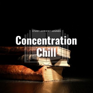 Concentration Chill: Ambient Music for Learning
