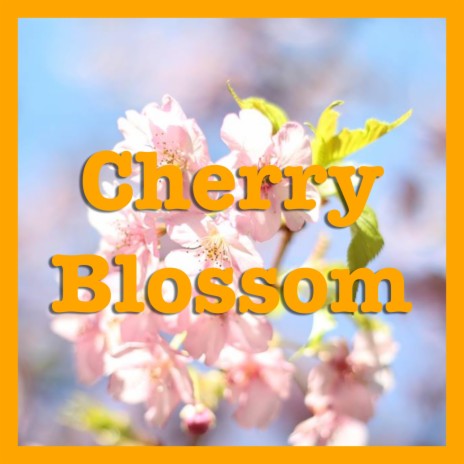 Cherry Blossom